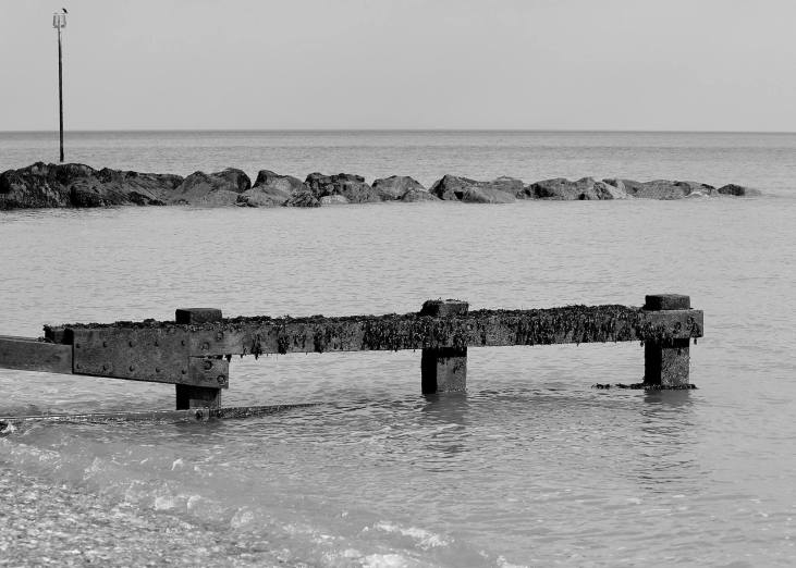 11034470_10155427983835635_6956734238543374309_o